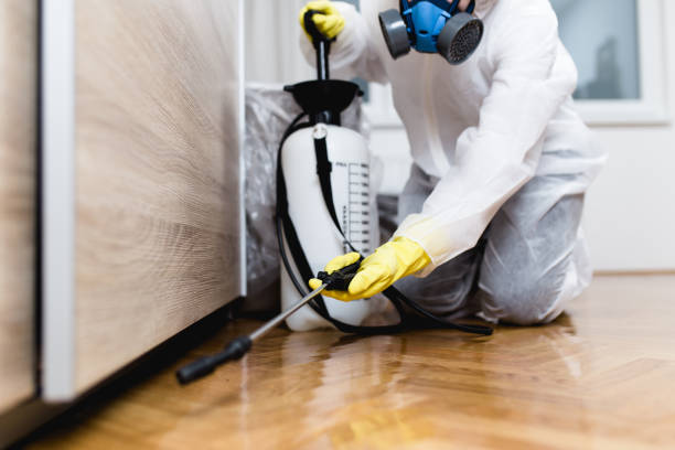 Trusted Collinsville, CT Pest Control Experts