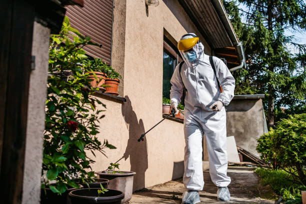 Best Exterminator Services  in Collinsville, CT