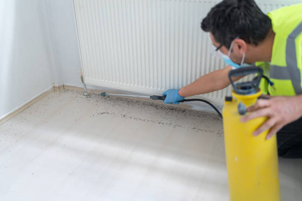 Best Mosquito Control Services  in Collinsville, CT
